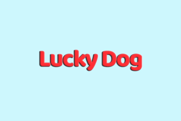 Зоомагазин «Lucky Dog»