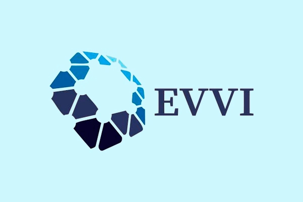 Компания «EVVI»